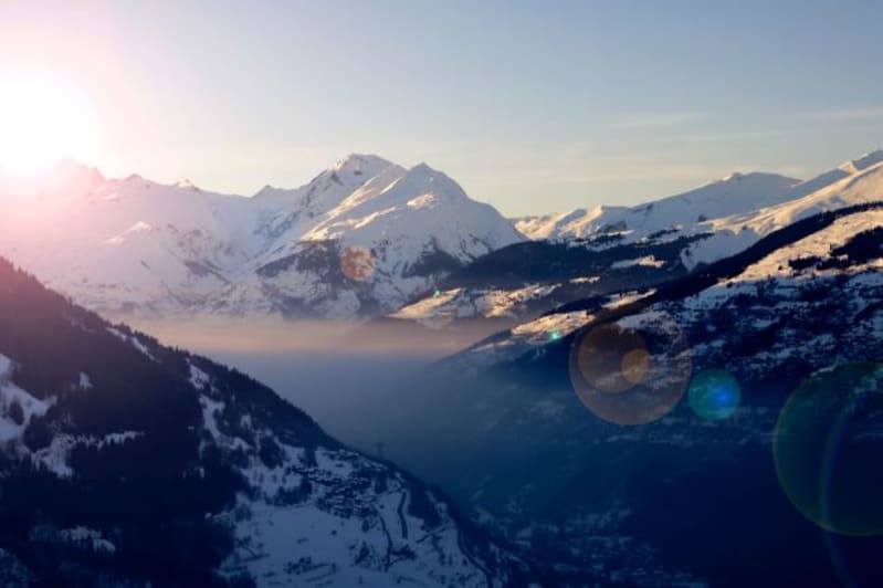 Want to learn Alpine.js?
