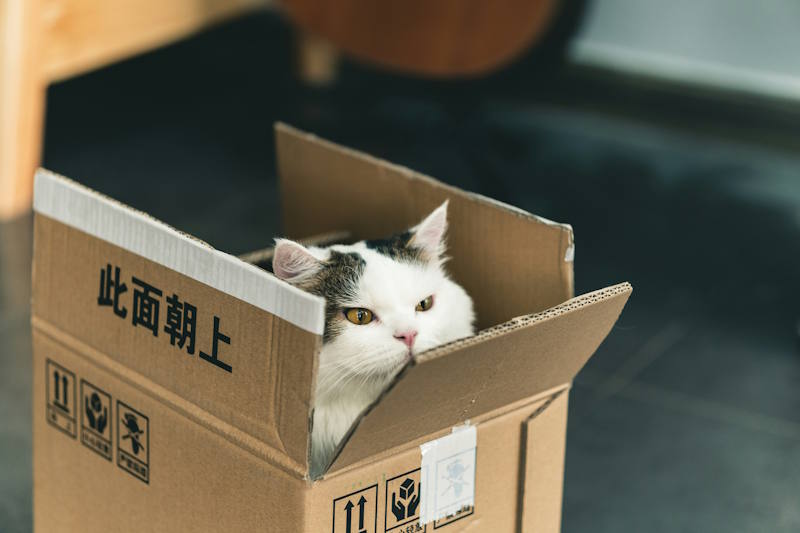 Testing with BoxLang