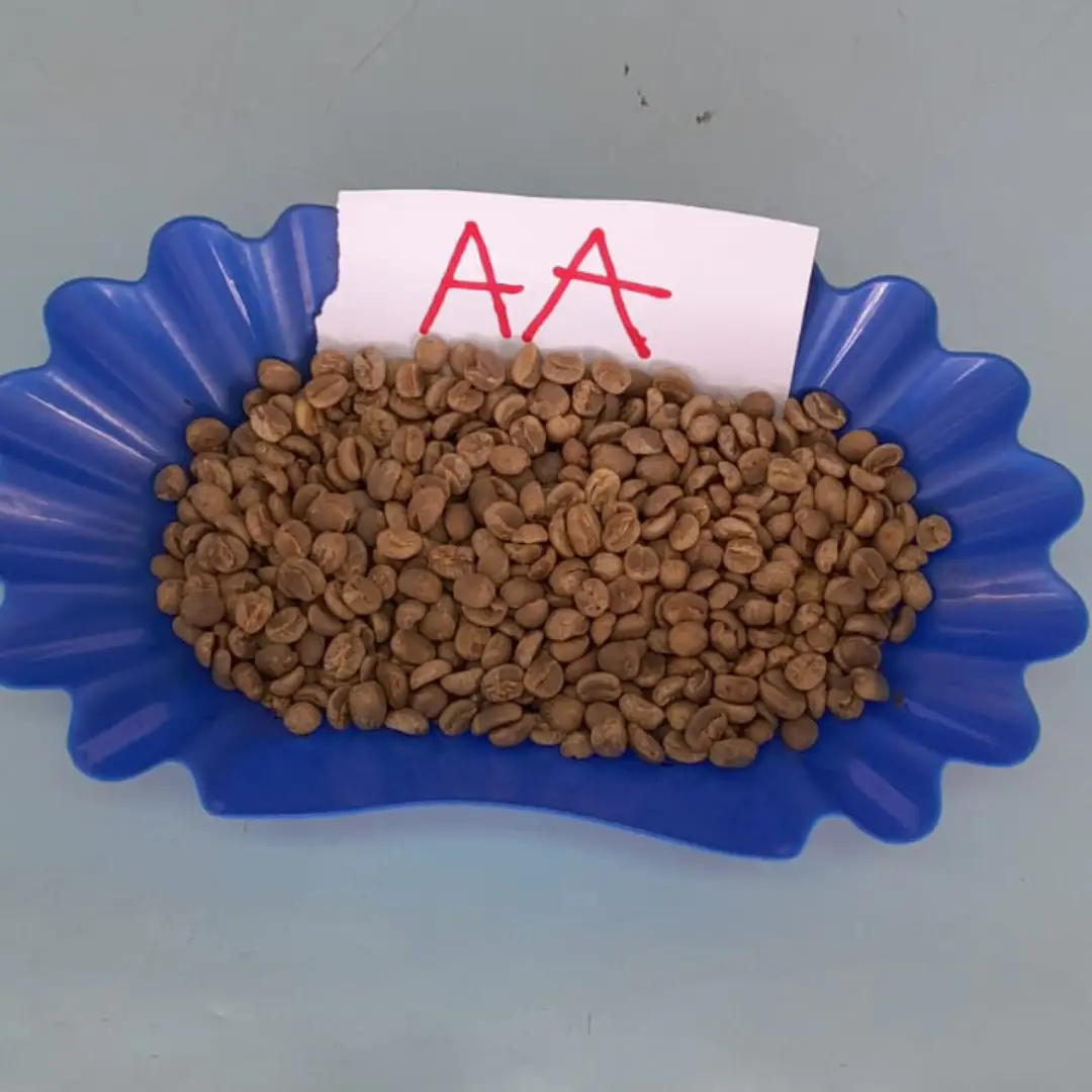 Coffee Grade AA