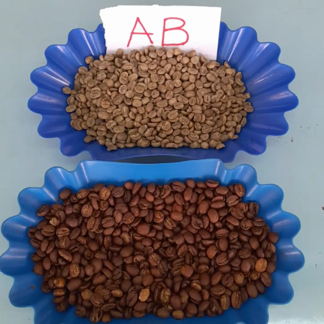 Coffee Grade AB