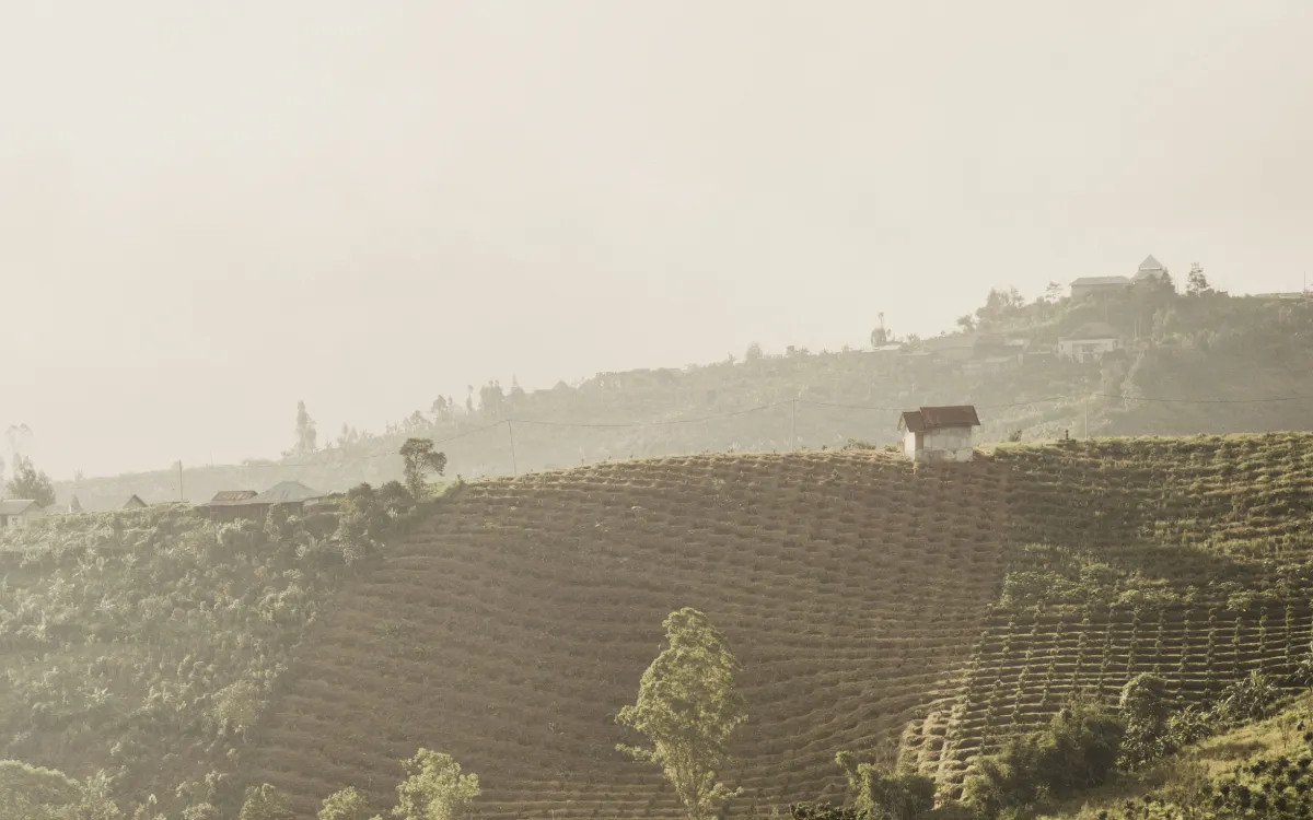 Makueni County: The Rising Star