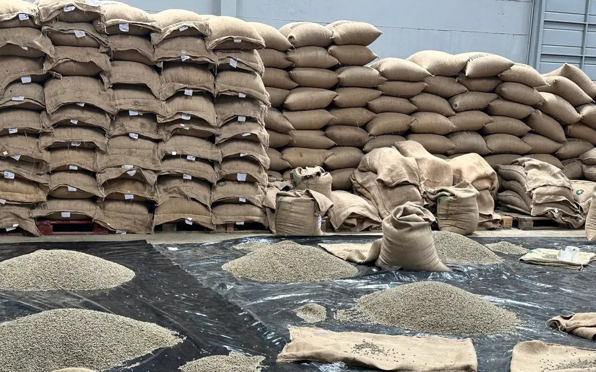 Navigating the Global Coffee Market: Trends, Prices, and Opportunities for 2026