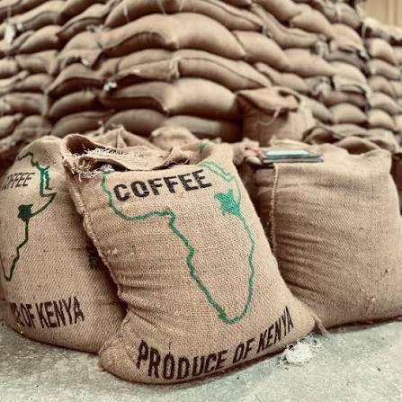 Navigating High-Stakes Coffee Logistics: Resolving Port Delays in Kenya Specialty Export