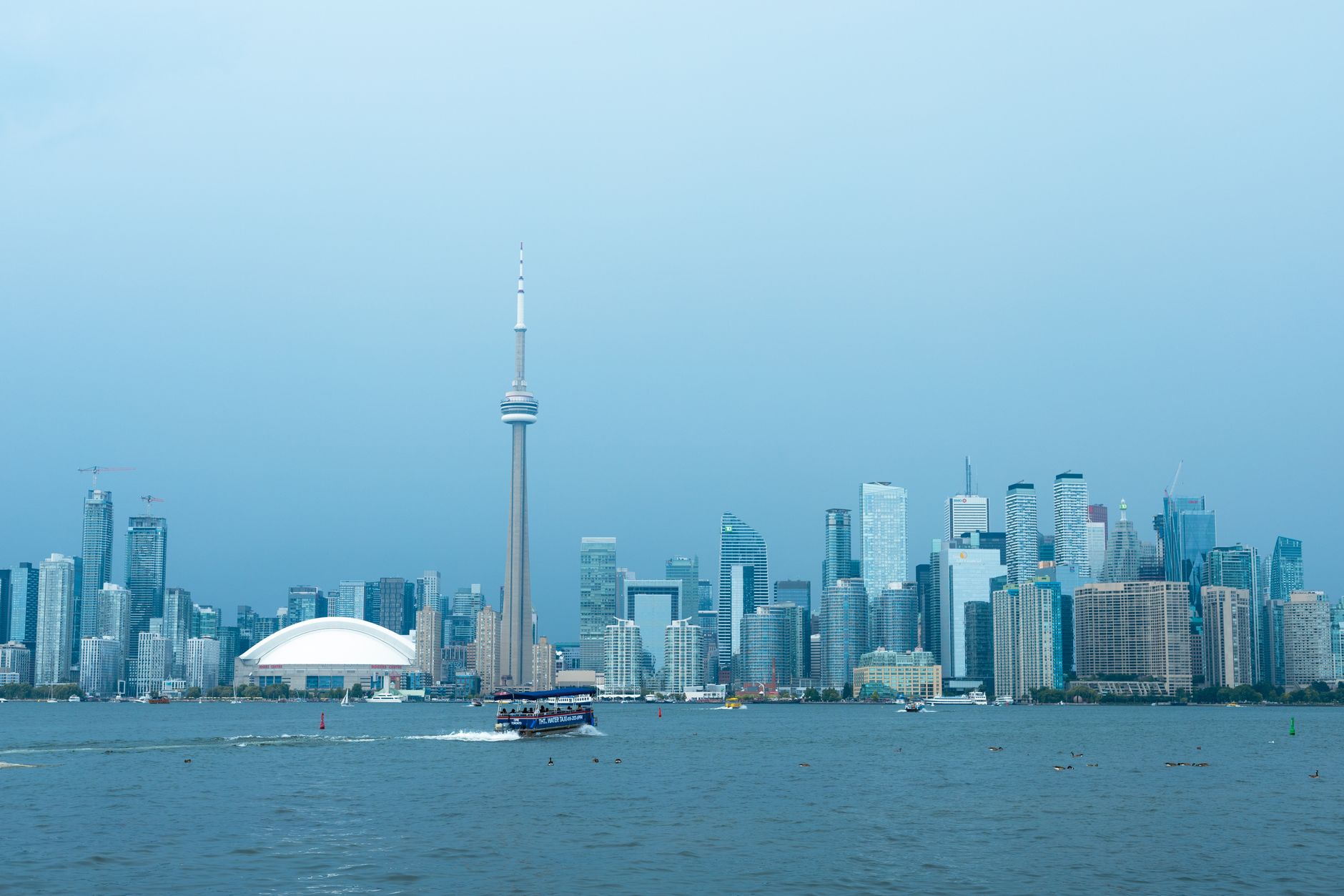 Viral artwork captivates Toronto’s Harbourfront
