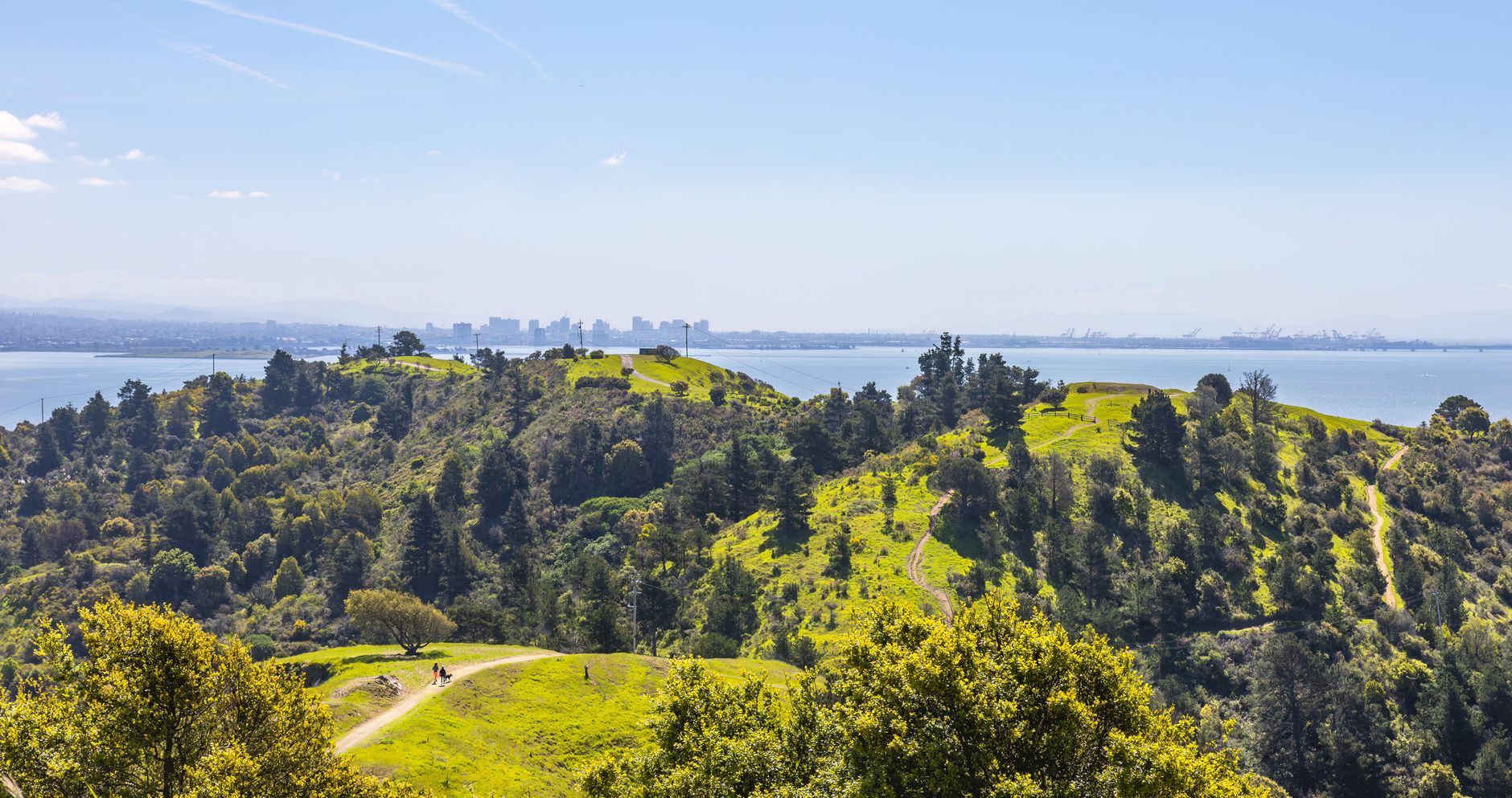Mark Roemer Oakland Explores If You Should Cut the Cord on Your Cable Company