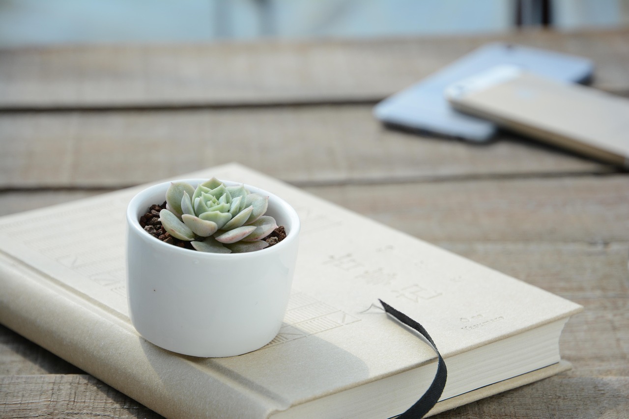Fabric Flower Pots for Your Garden