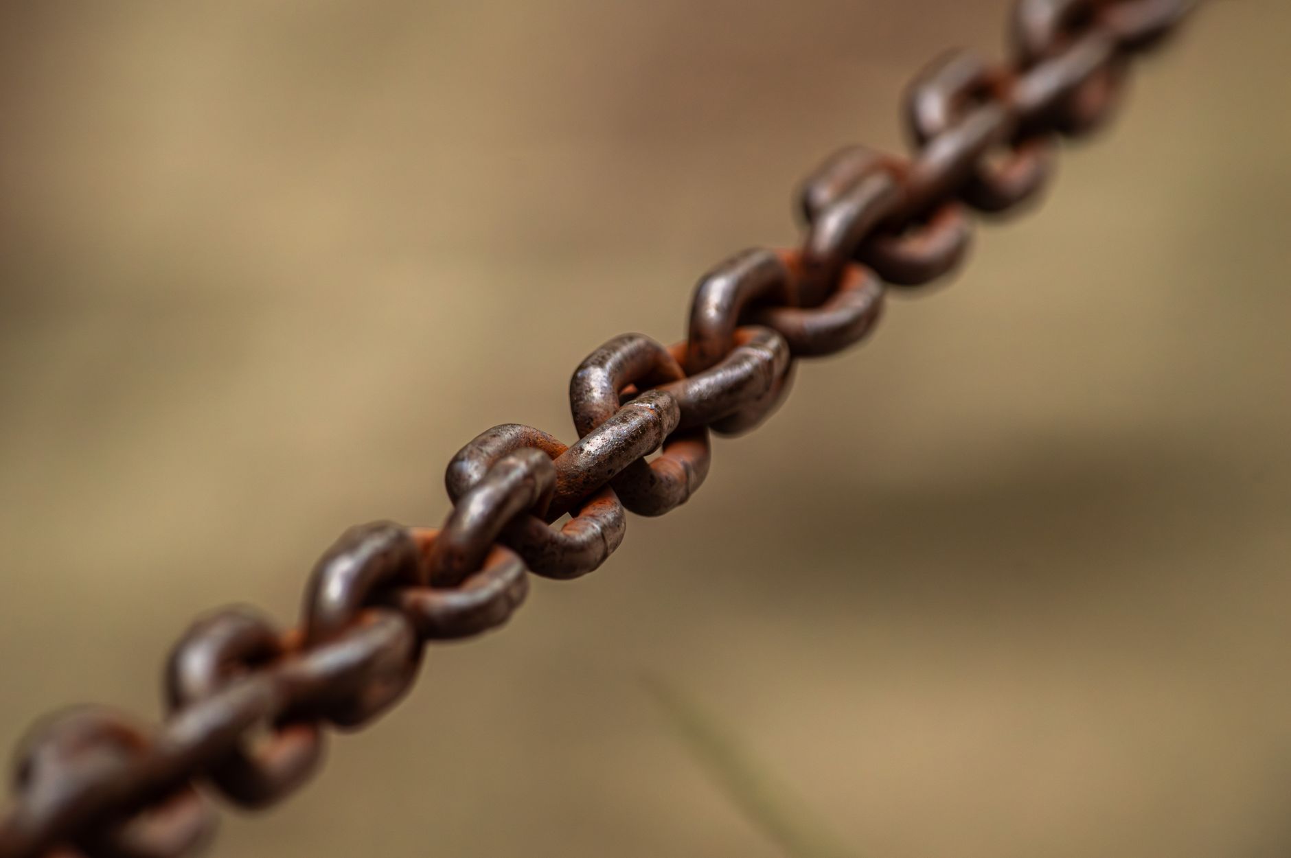 Services to Outsource Link Building