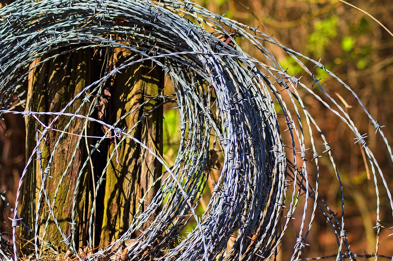 Why Invest in High-Quality Security Fencing?