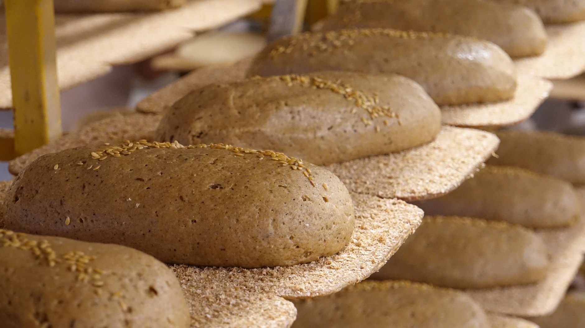 Hovis board cleared as Allied eyes overhaul