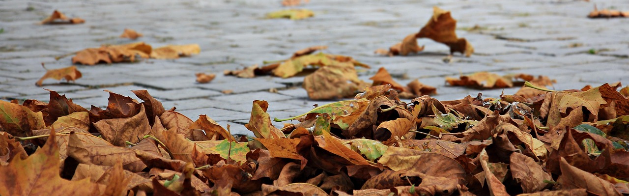 Simple Tips For Accessorising This Autumn