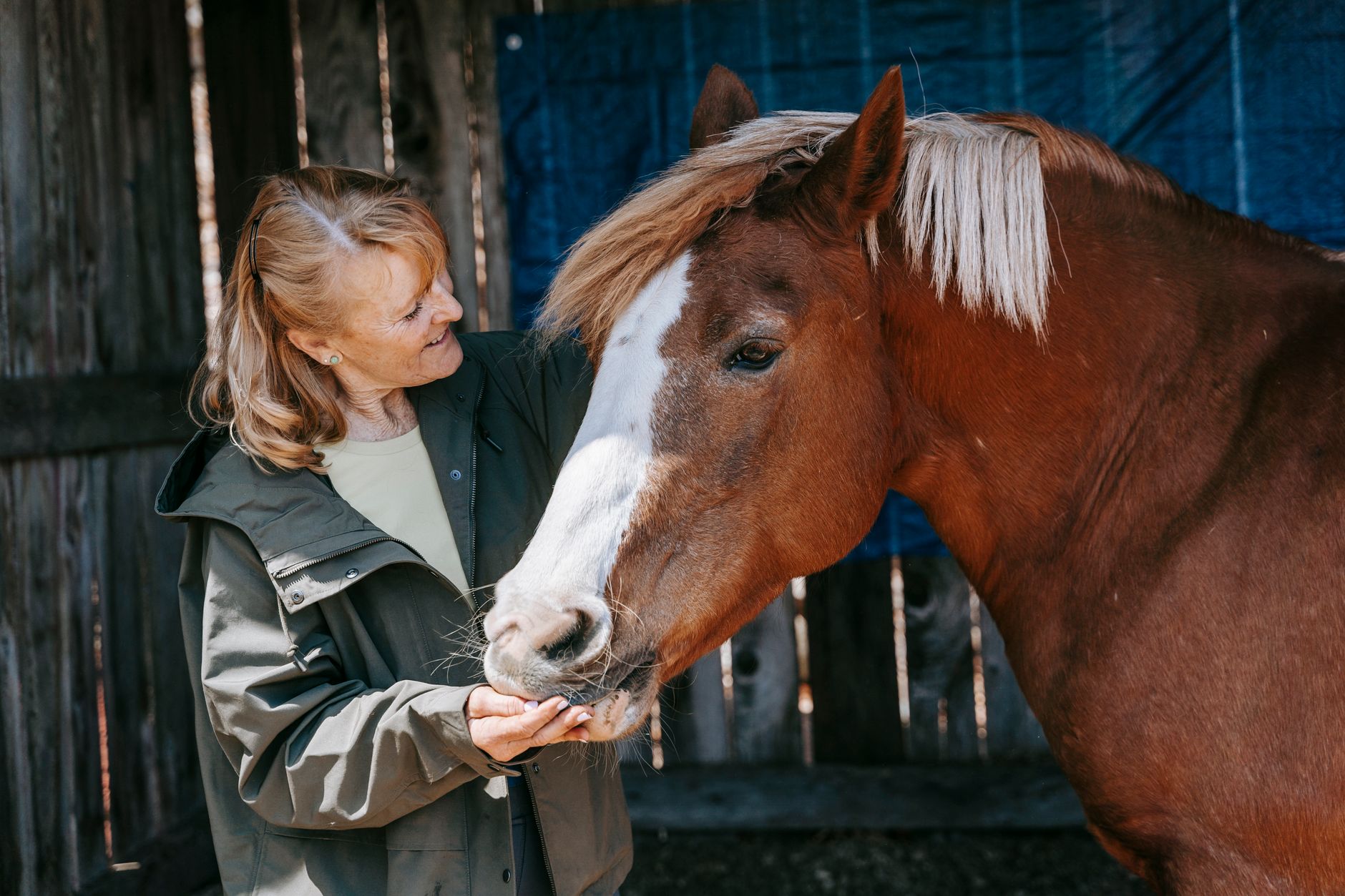 Horses quietly signal for human aid