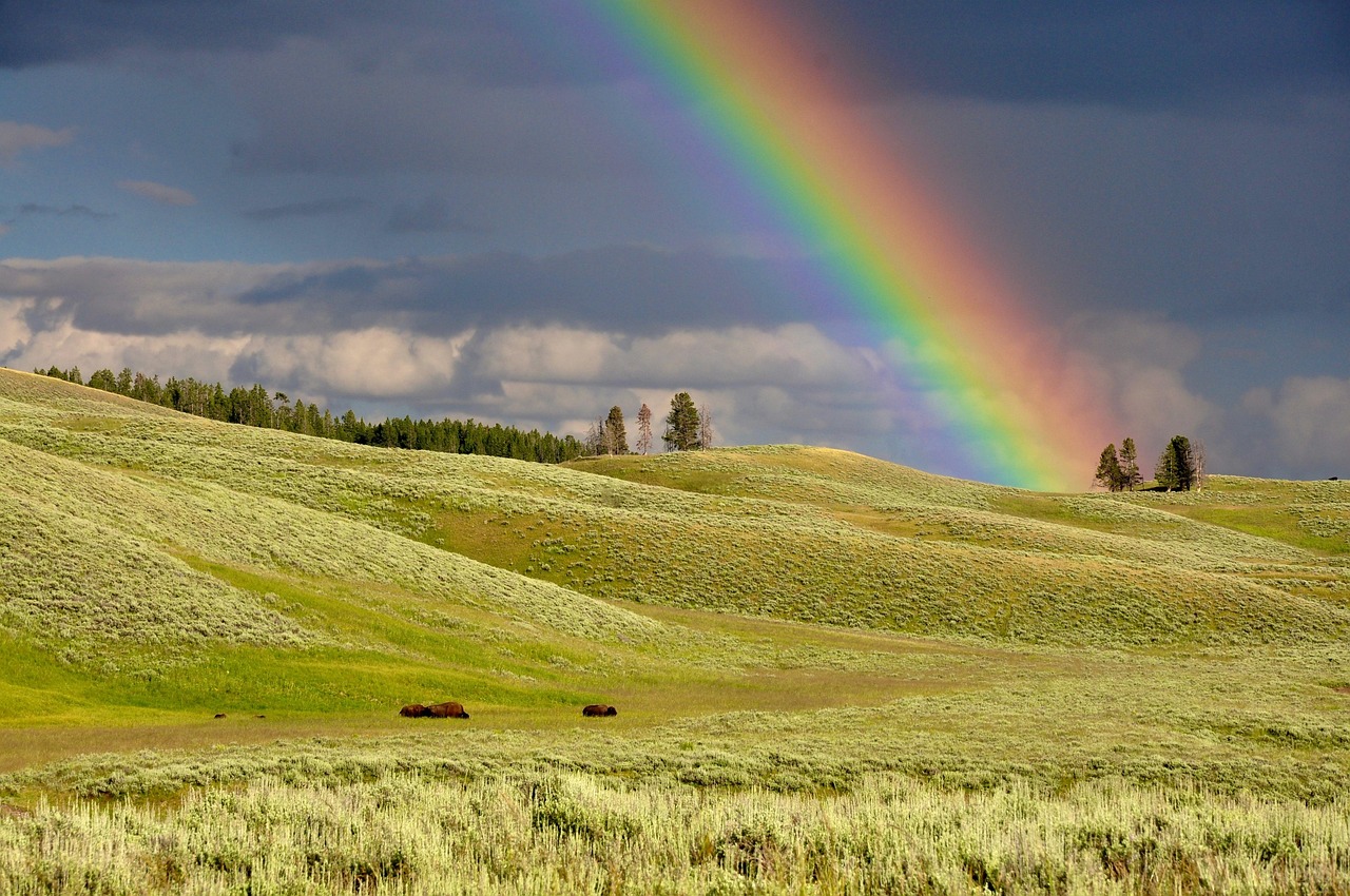 The Technicality of Moissanite’s Rainbow Sparkle