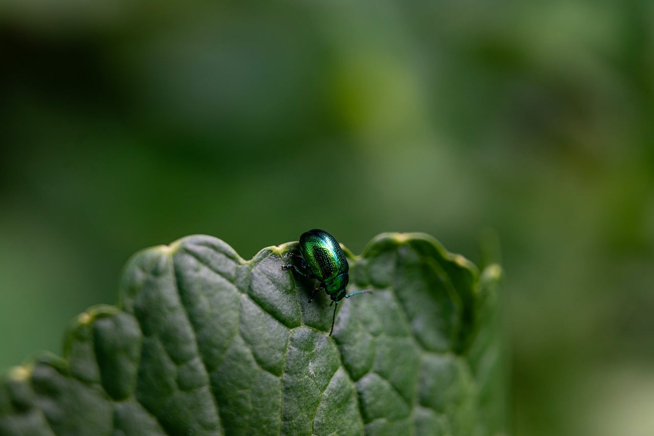 Why Should You Become A Biologist?
