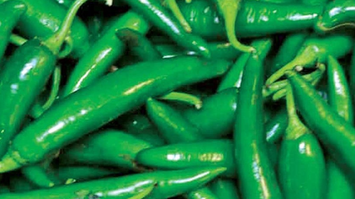 Govt allocates funds to cut chilli prices - chilli prices