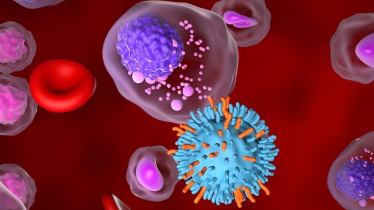 Kite showcases CAR T therapy at ICML 2025 - car t therapy