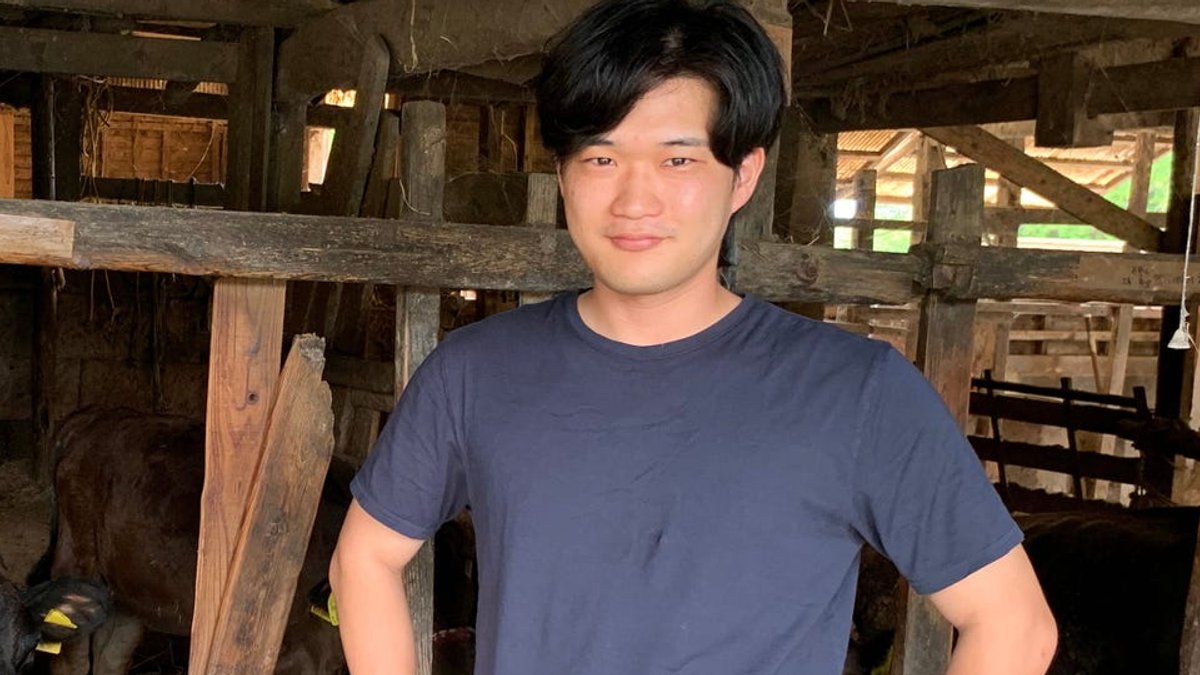 Returning to Japan to revive family Wagyu farm - wagyu farm