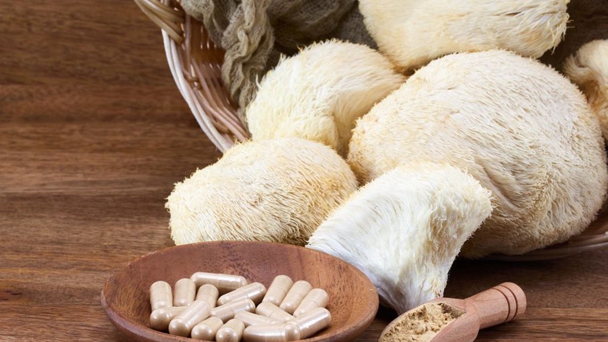 Ireland embraces lion’s mane mushroom trend Ireland embraces lion’s mane mushroom trend - lion's mane mushroom