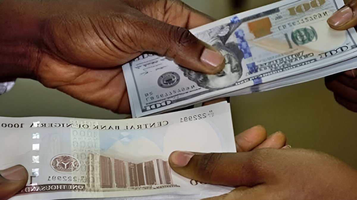 Nigeria’s forex reserves hit $41bn as naira recovers - forex reserves