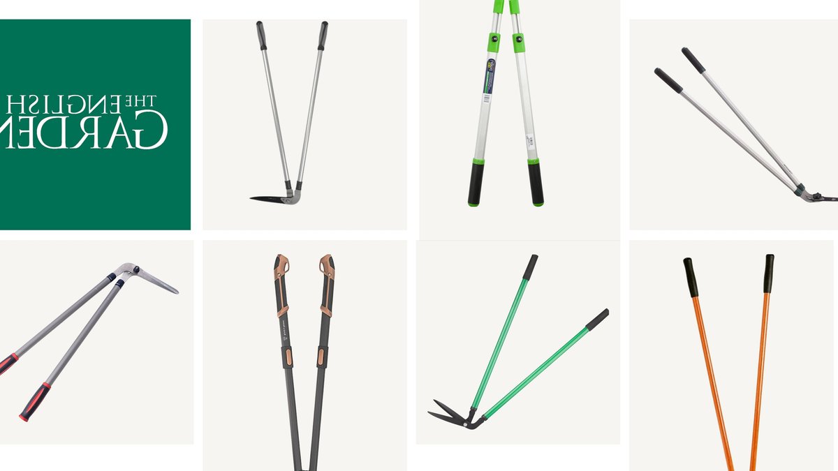 Best Lawn Edging Shears for Perfect Garden Borders