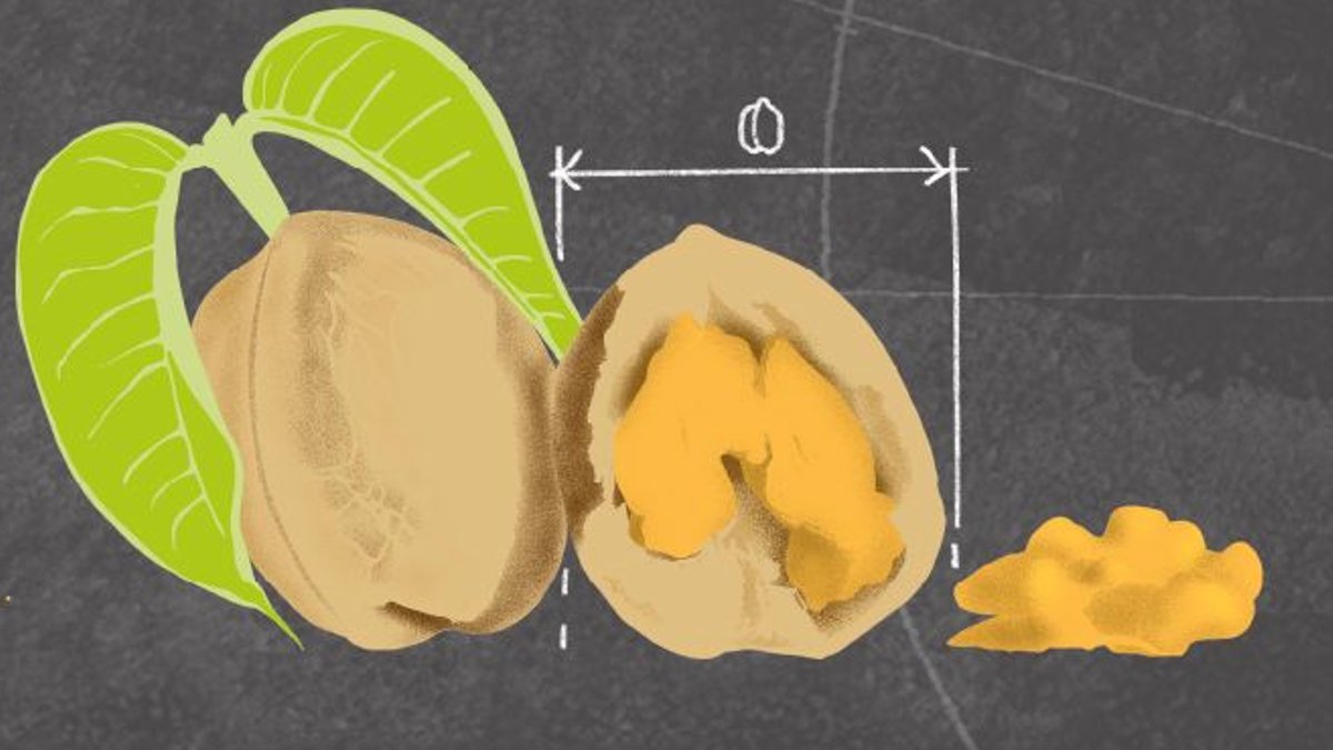 Small meals or big – what’s healthier Small meals or big – what’s healthier - small meals