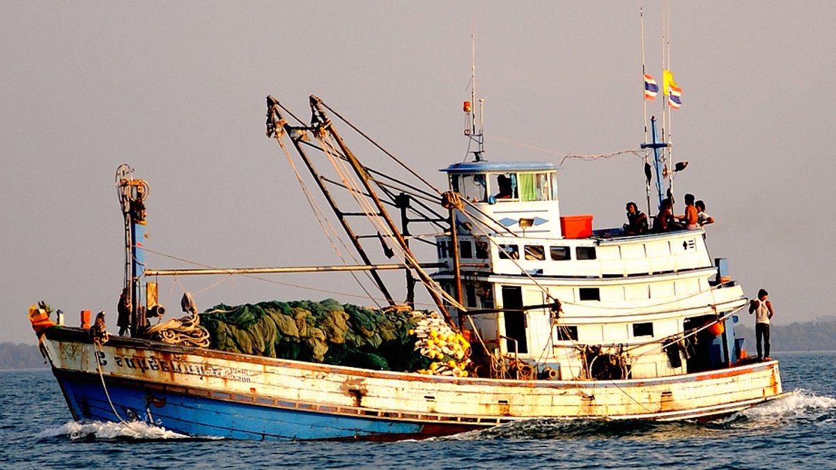 Netflix show exposes Thai fishing industry abuses - thai fishing industry
