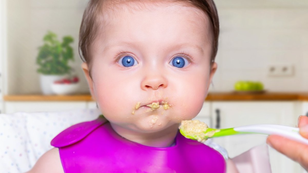 Examining the Food of Young Children Examining the Food of Young Children - toddler food