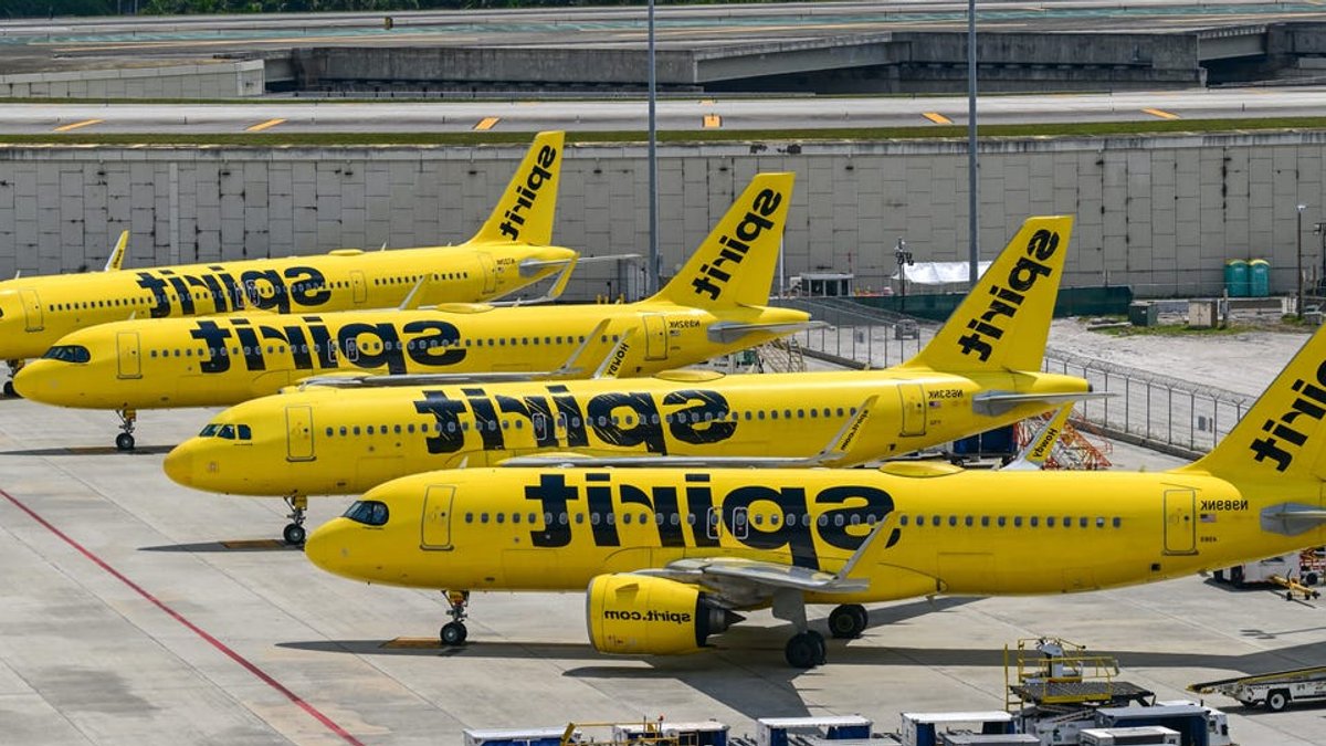 Micro1 opposes Google Spirit Airlines data bid