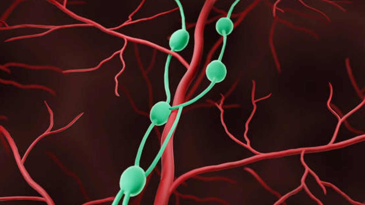 Boost your lymphatic health with these tips - lymphatic health