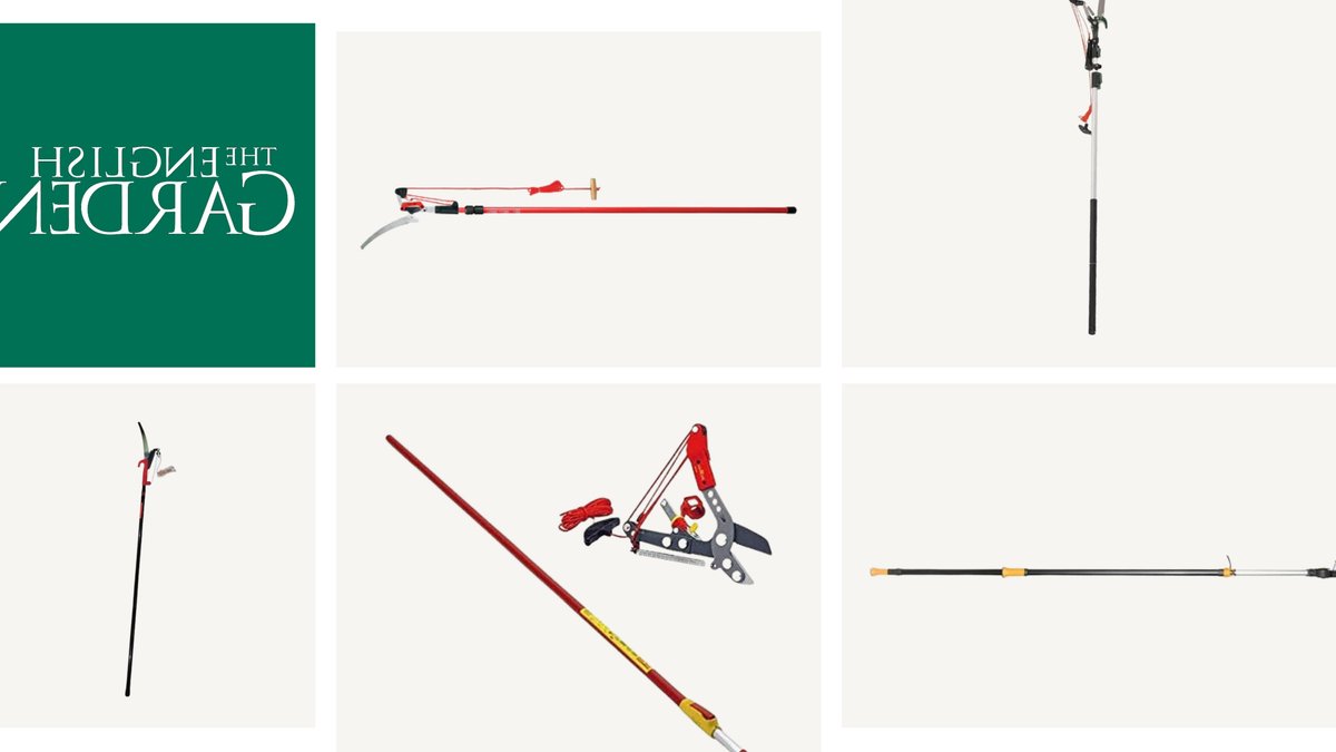 Top tree pruners put to the test Top tree pruners put to the test - tree pruners