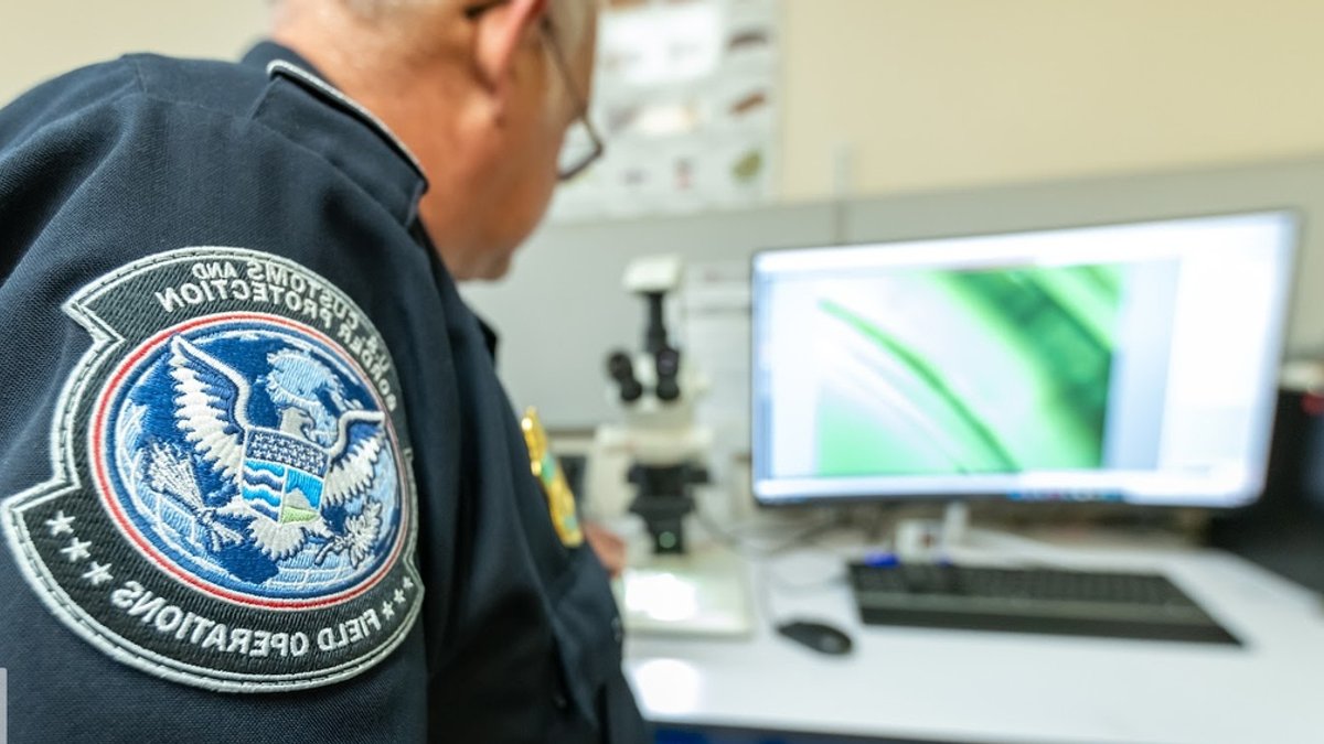 CBP Seizes $9.5 Million Meth in Detergent Shipment - meth seizure