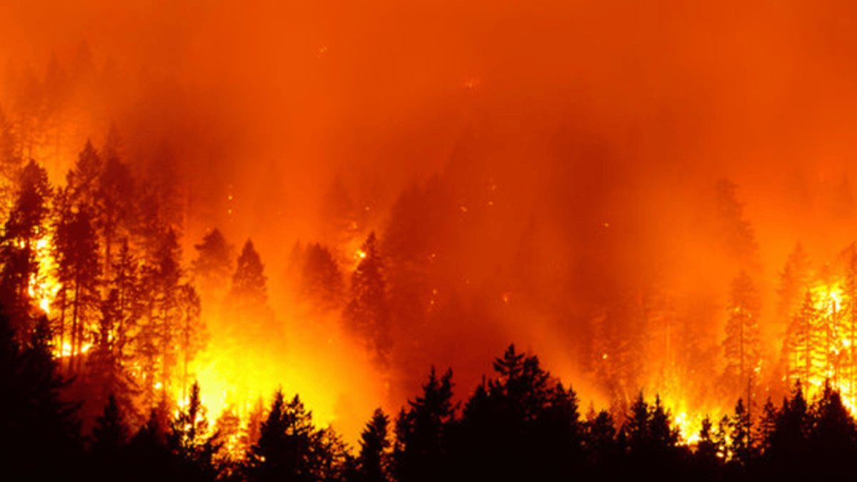 Hawk Fire 85 percent contained as insurance questions arise - hawk fire