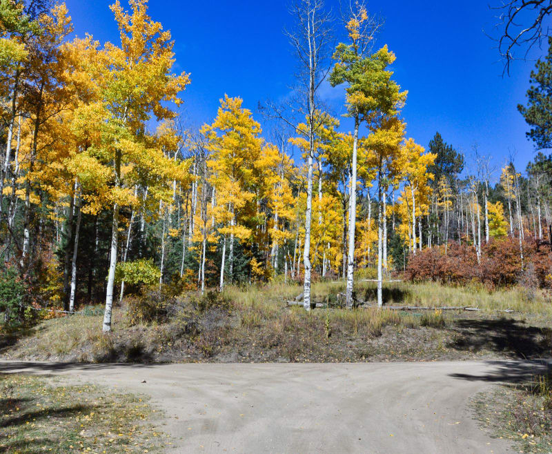 Pacheco Canyon