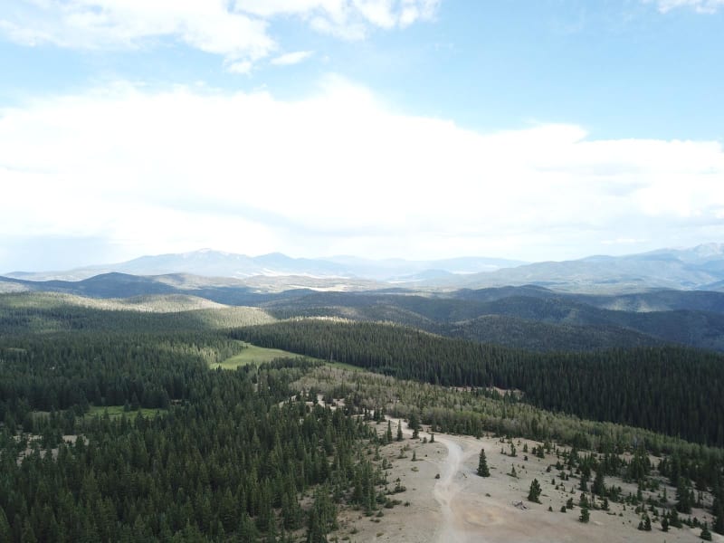 Sawmill Greenie