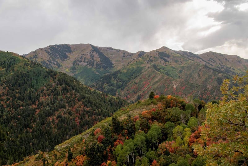 Butterfield Canyon