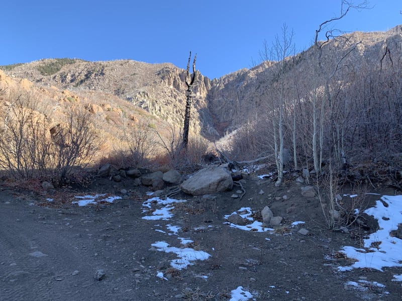 Diamond Valley-Lone Pine-Cottonwood Loop