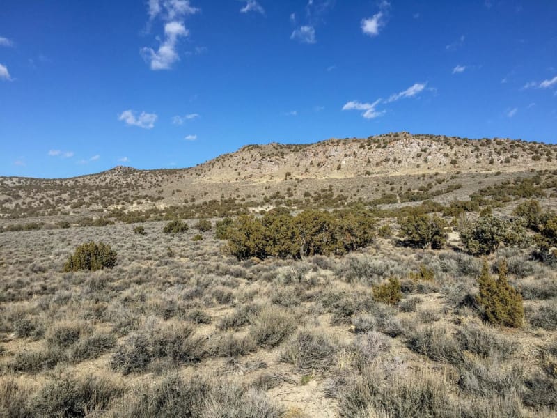 Wildcat Hills
