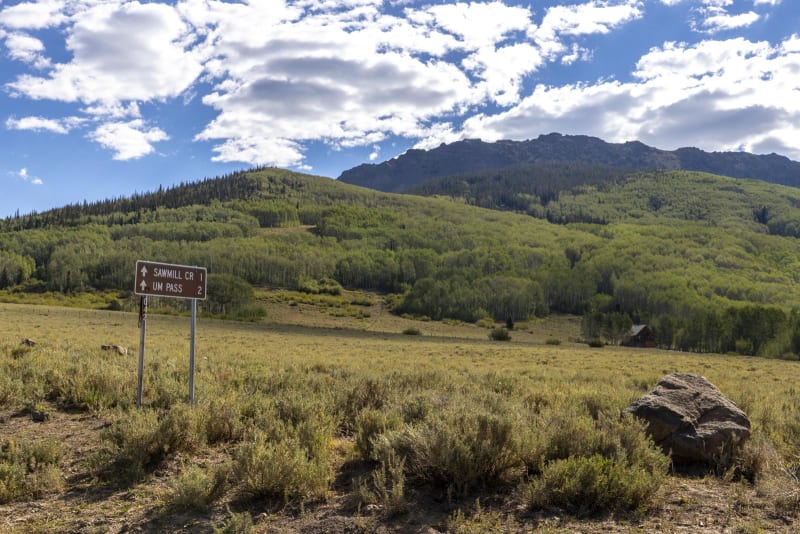 UM Pass Trail