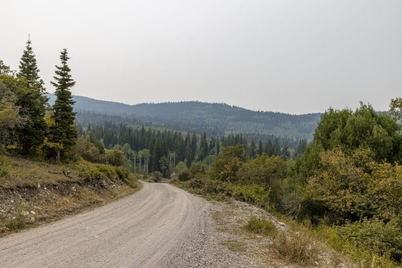 Willow Creek Road