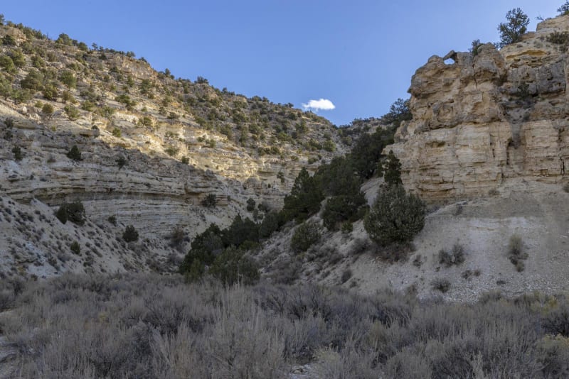 Soldier Canyon Road