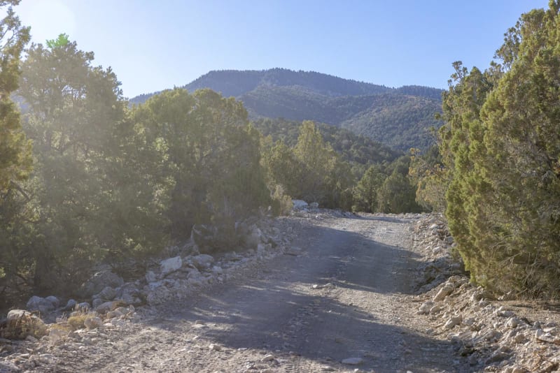 Olsen Canyon