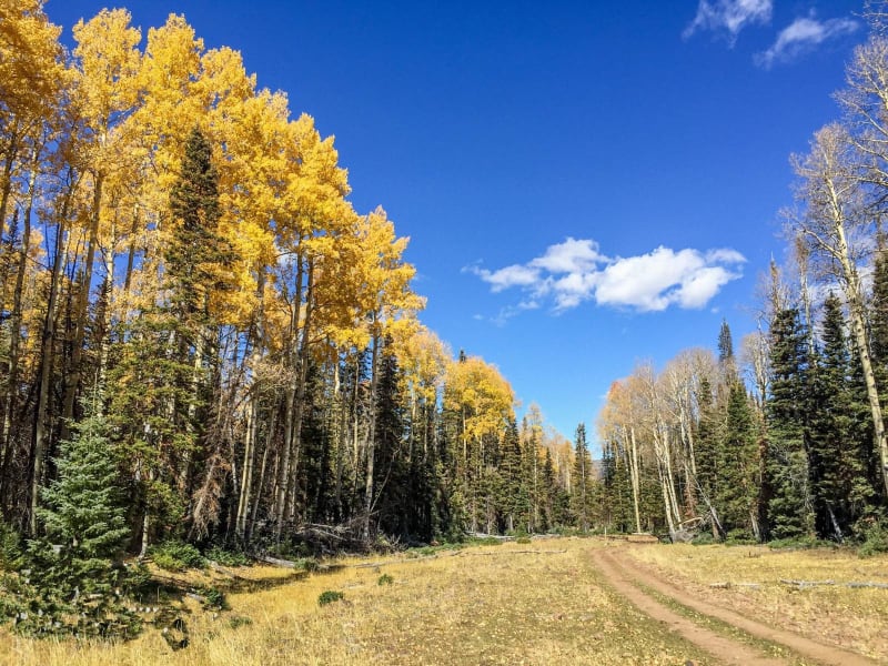 Paiute ATV Trail Circleville Marysvale Loop