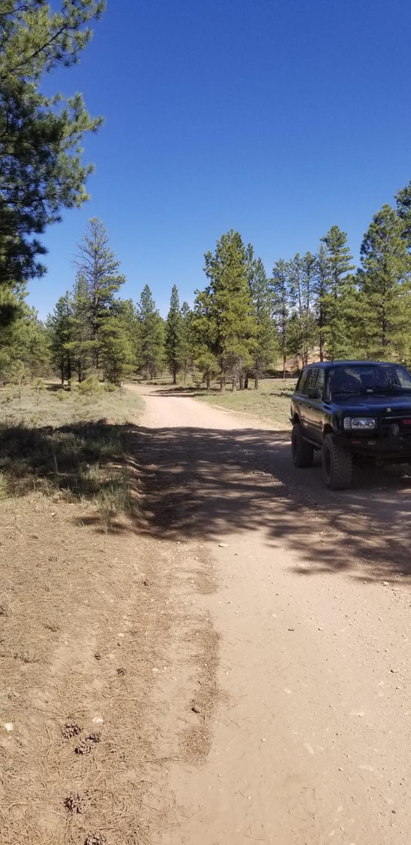 Dave’s Hollow Cutoff