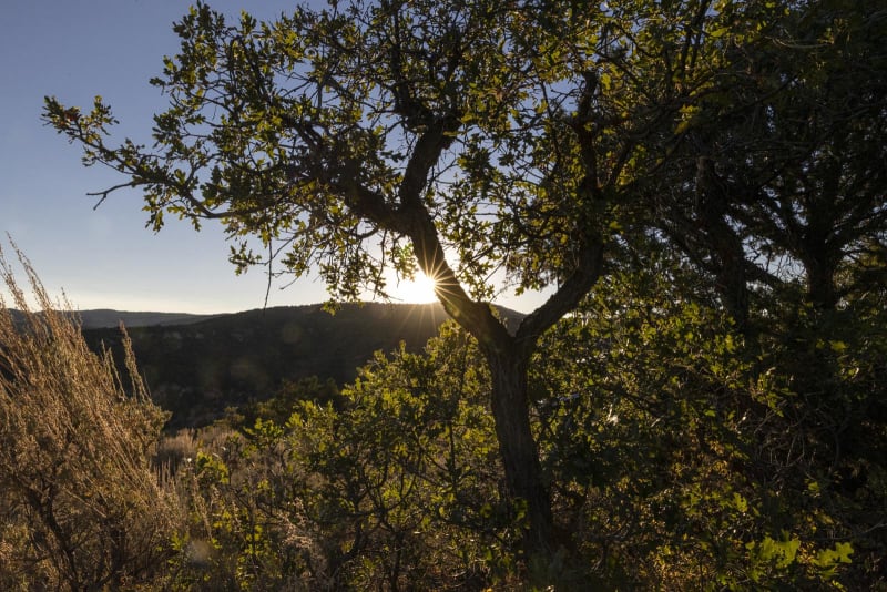 Meadow Gulch Trail