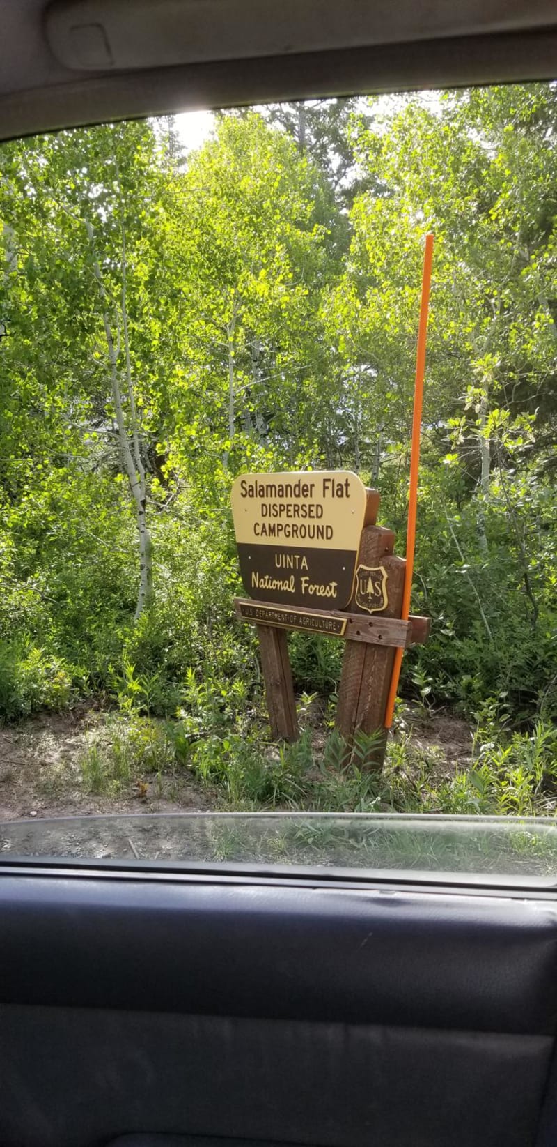 Salamander Flat Dispersed Camping
