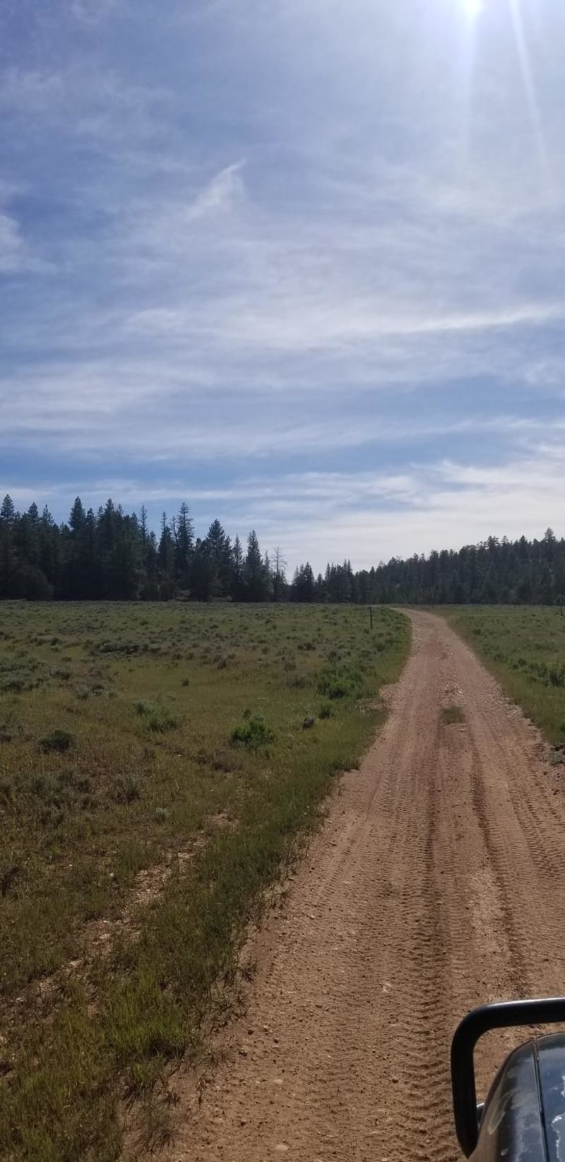 Blue Fly Creek