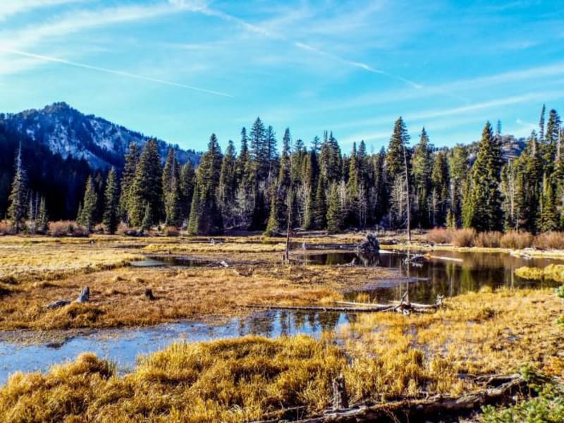 Steep Canyon and Crescent Lake