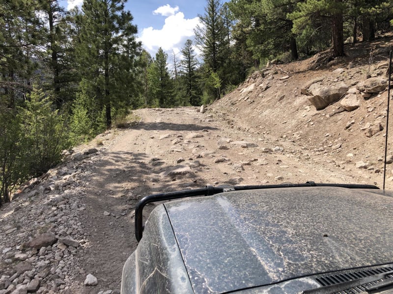 Wheeler Geologic – via Alder Creek (FS610)