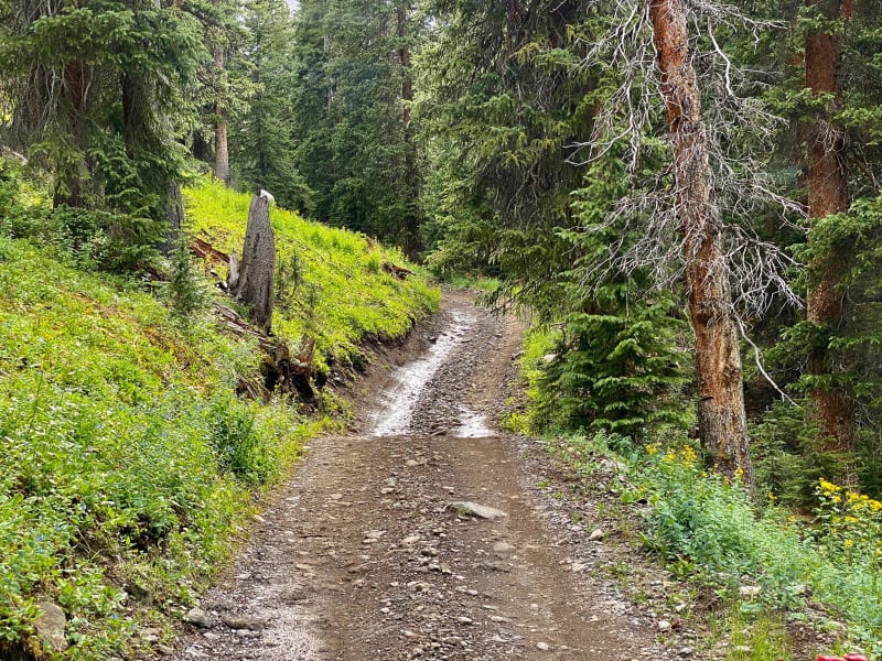 Silver Basin Trail