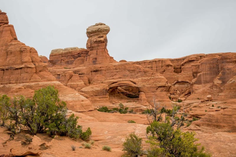 Tower Arch