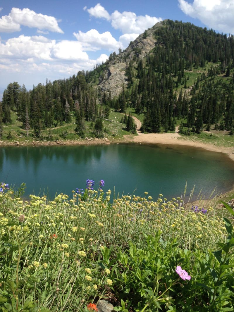 Smith Lakes